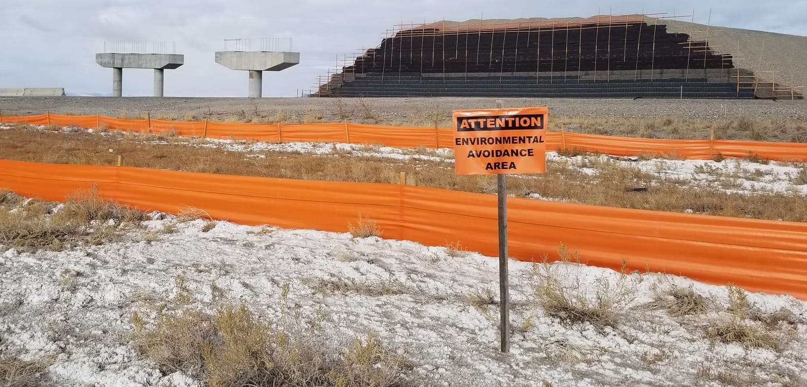 Meet Ames’ Newest Environmental Specialists
